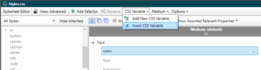 Screenshot showing how to insert a CSS Variable